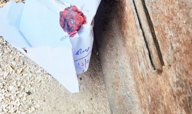 कस्टम मिलिंग में अनियमिता, राइस मिल सील