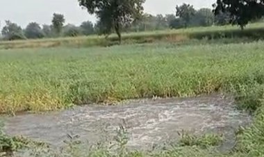 खरगोन में NVDA की पाइपलाइन फटी, 100 एकड़ फसल जलमग्न:पककर तैयार गेहूं-चने बर्बाद; 15 दिन में दूसरी बार हुआ हादसा