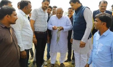 प्रदेश के ओलावृष्टि प्रभावित किसानों को मिलेगा पूरा मुआवजा – राजस्व मंत्री  वर्मा