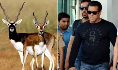 काला हिरण शिकार मामला: हाईकोर्ट जस्टिस ने सलमान खान की अपील पर सुनवाई से किया इंकार